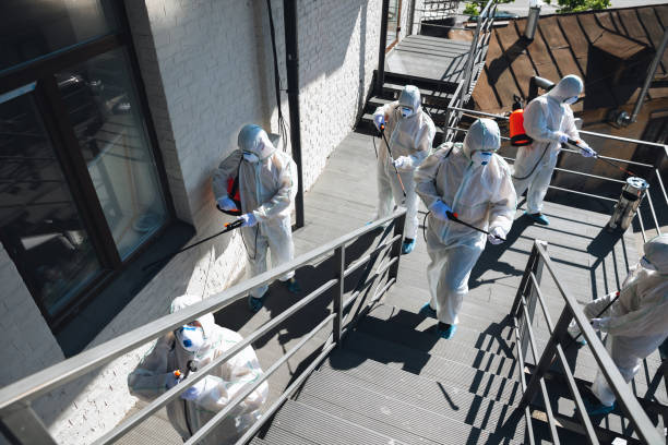 Asbestos and Lead Testing During Mold Inspection in Hanceville, AL
