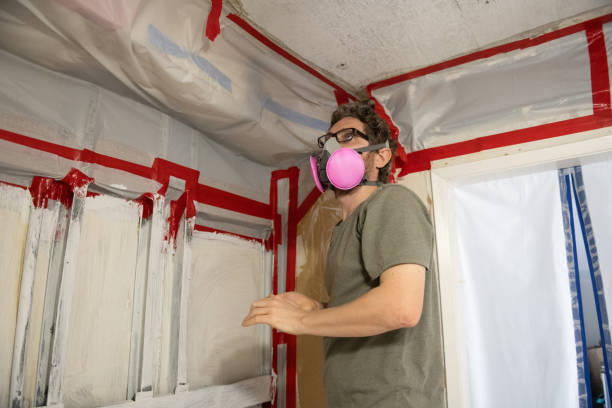 Best Post-Construction Mold Inspection  in Hanceville, AL