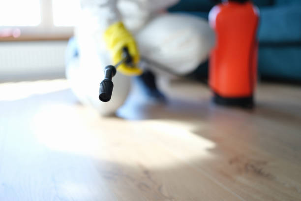 Hanceville, AL Mold Removal Company