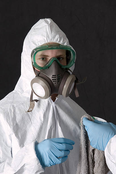 Best Mold Odor Removal Services  in Hanceville, AL